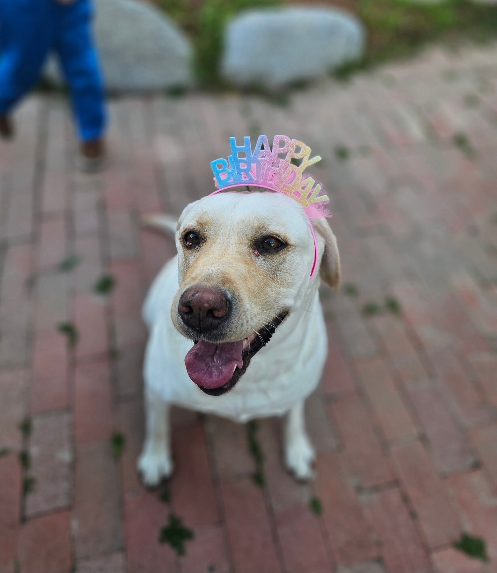 Emmie