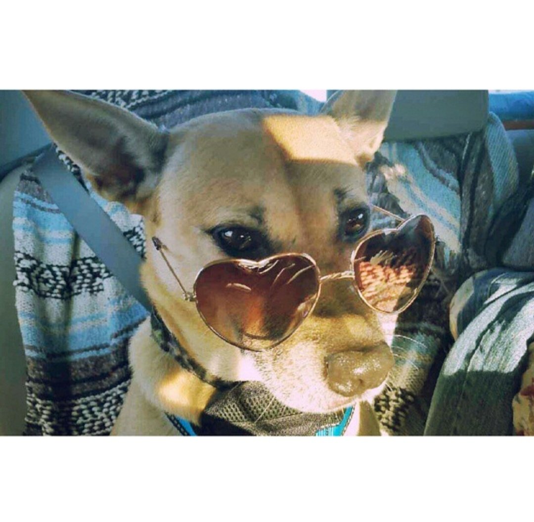 Riley